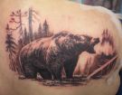 Amazing brown and black bear tattoo on arm