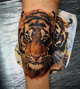 Amazing deep eyes tiger tattoo on arm
