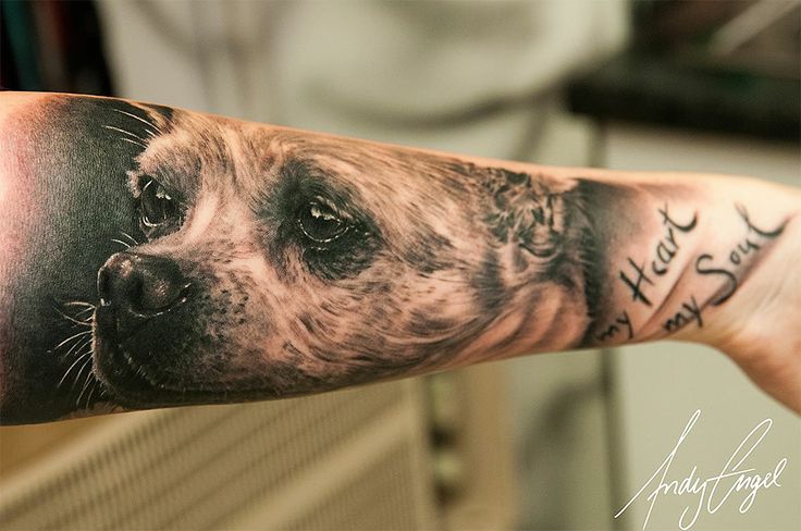 Amazing sad dog tattoo on arm