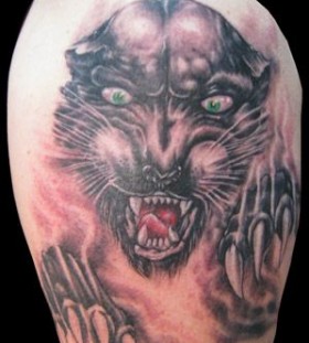 Angry big cat tattoo on arm