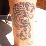 Angry black and white tiger tattoo on leg