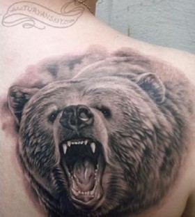Angry black bear tattoo on shoulder