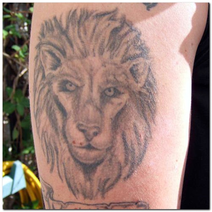 Angry black lion tattoo on leg
