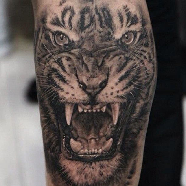 Angry tiger tattoo by Dimitry Samohin