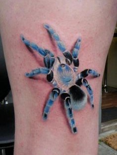 Awesome spider tattoo on leg