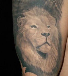 Black and white lion tattoo on leg
