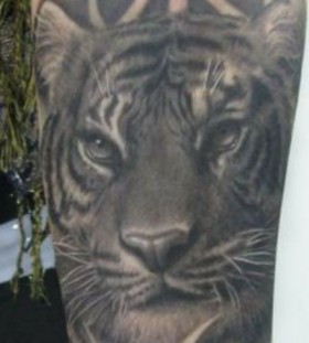 Black and white tiger tattoo on arm