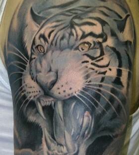 Black angry tiger tattoo on arm