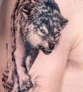 Black angry wolf tattoo on arm