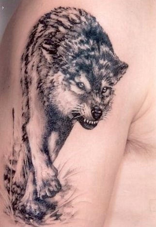 Black angry wolf tattoo on arm