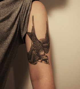 Black cute bird tattoo on arm
