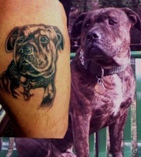 Black lovely dog tattoo on leg