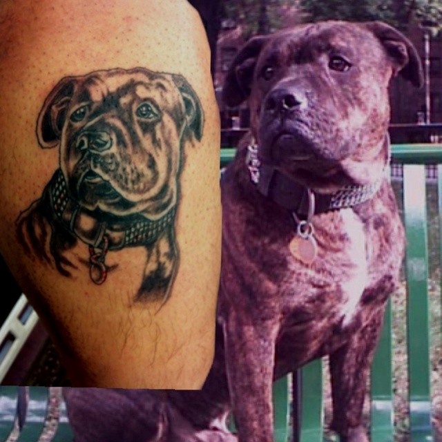 Black lovely dog tattoo on leg