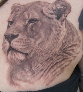 Black lovely lion tattoo on leg