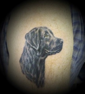 Black simple dog tattoo on arm