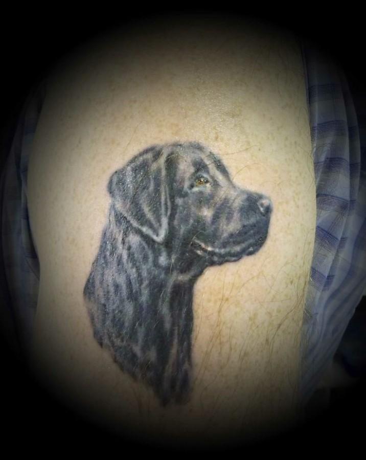 Black simple dog tattoo on arm