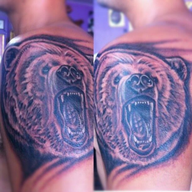 Brown amazing bear tattoo on shoulder