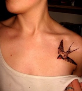 Brown lovely bird tattoo on shoulder