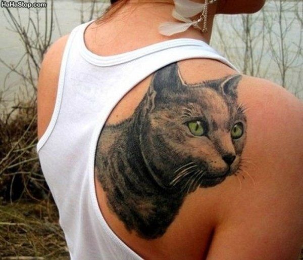 Cat with green eye tattoo on arm