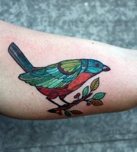 Colorful blue and red bird tattoo on arm