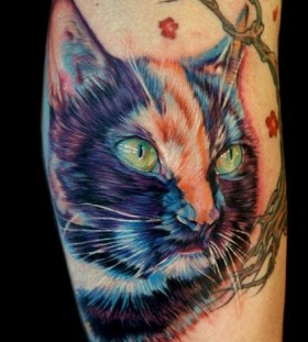 Colorful lovely cat tattoo on leg
