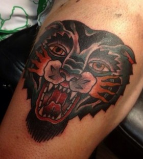 Colorful lovely tiger tattoo on arm