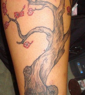 Compass and simple tree tattoo on leg