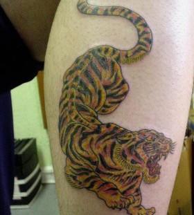 Cool colorful tiger tattoo on leg