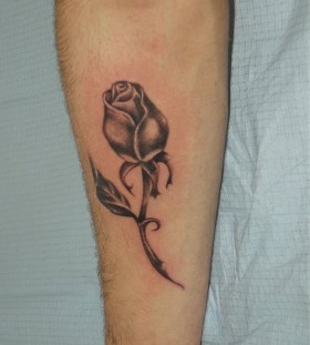 Cute black rose tattoo on arm
