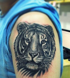Cute small tiger tattoo on arm