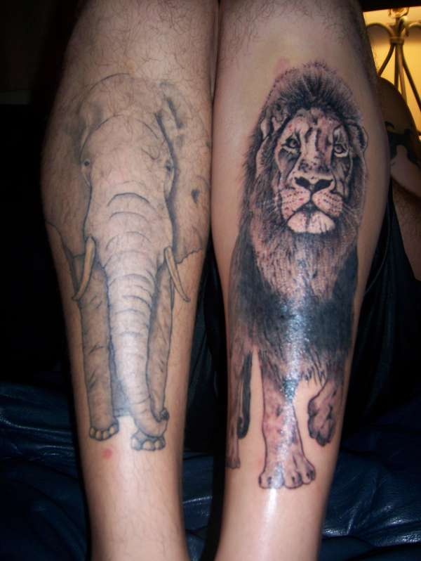 Elphant and lovely lion tattoo on leg