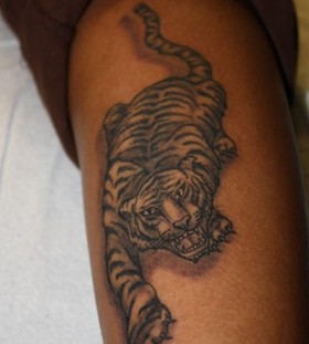Example of angry tiger tattoo on arm