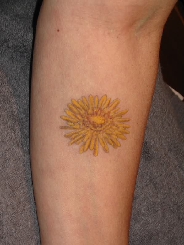 Family crest sun tattoo on arm