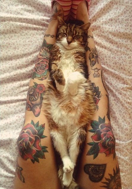 Gorgeous cat and rose tattoo on leg