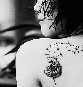 Gorgeous girl bird tattoo on shoulder