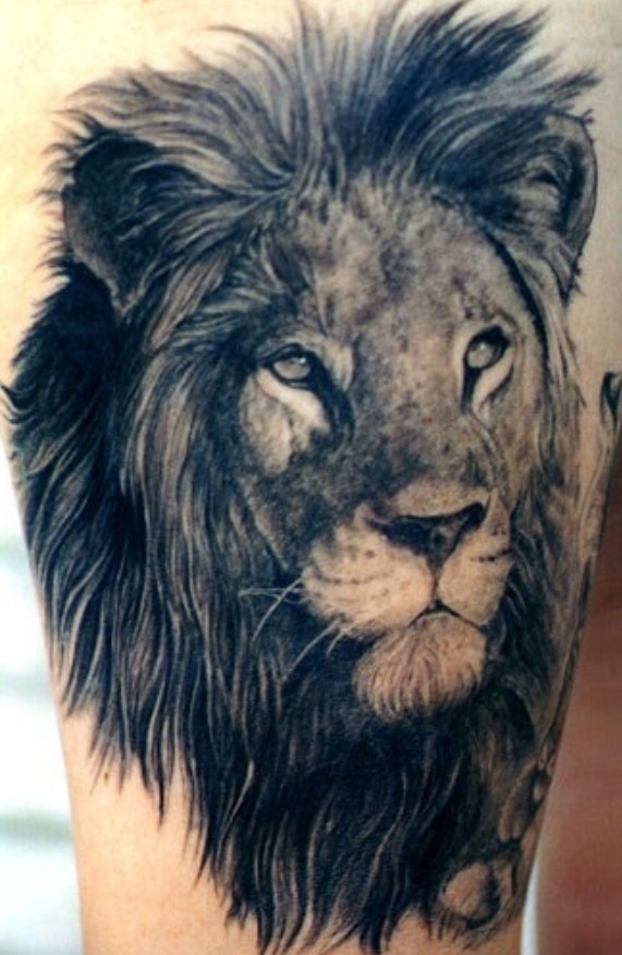 Lovely black lion tattoo on leg