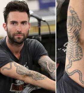 Men and his tiger tattoo on arm