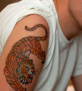 Orange angry tiger tattoo on arm