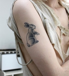 Ornamental lovely rabbit tattoo on body