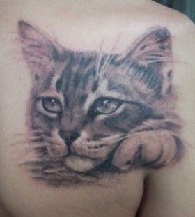 Pretty black cat tattoo on arm