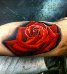 Red realistic rose tattoo on arm