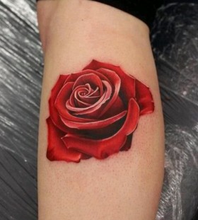Red rose lovely tattoo