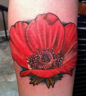 Red unique poppy tattoo on arm