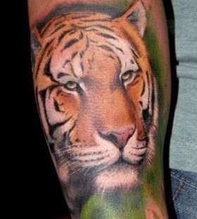 Sad realistic tiger tattoo on arm