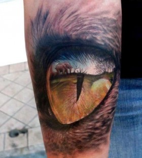Small elephant and eye tattoo on arm