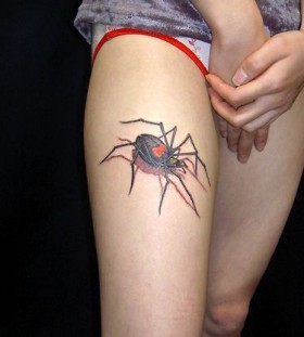 Spider tattoo on leg