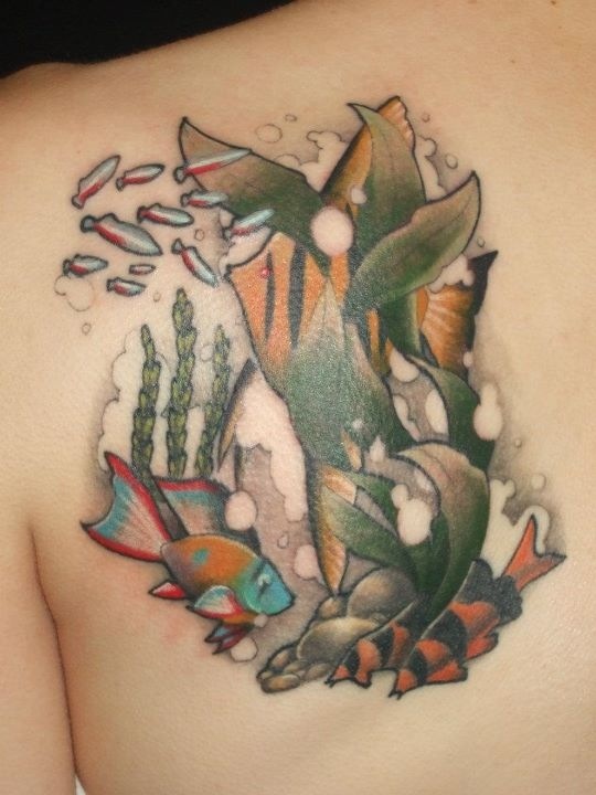 Tropical lovely fish tattoo on arm