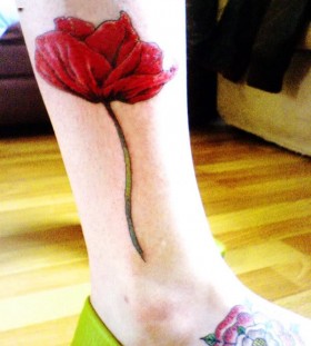 Unique girl poppy tattoo on leg