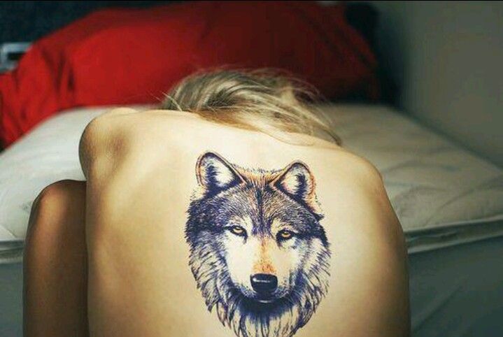 Wolfs tattoos on arms