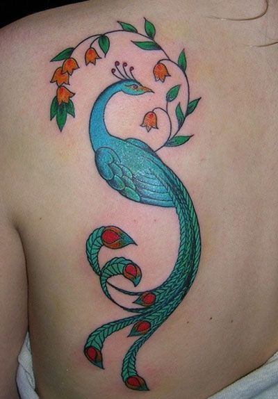 Best traditional style peacock tattoo
